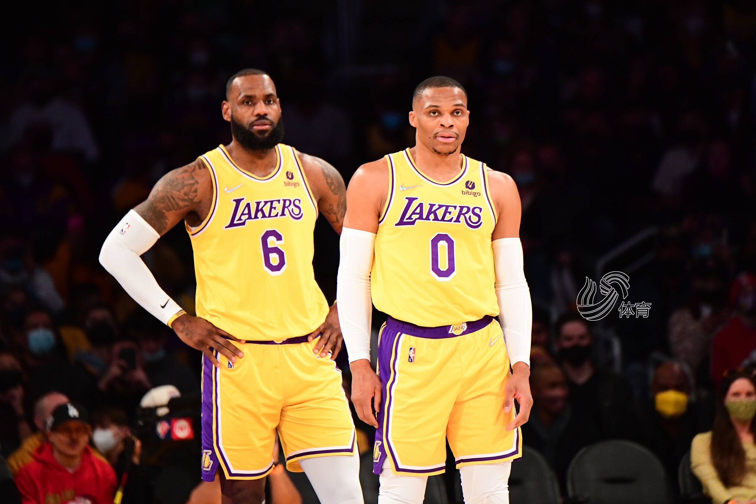 以更高的幅 以更高的幅